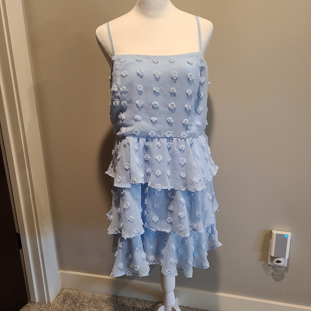 Large Francesca's Mini Dress